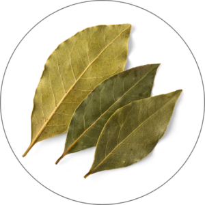 Bay Leaf