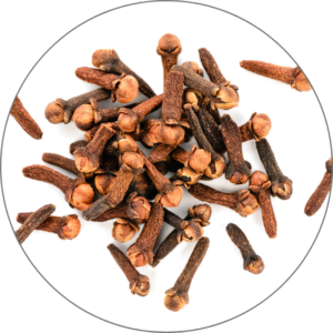 Clove