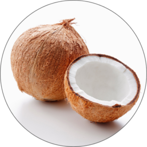 Coconut