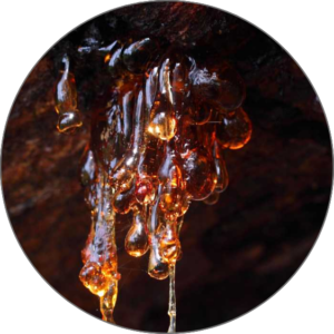 Wood Resin