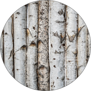 Birch