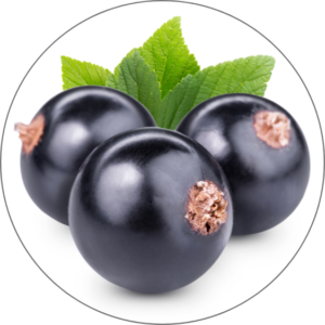 Blackcurrant