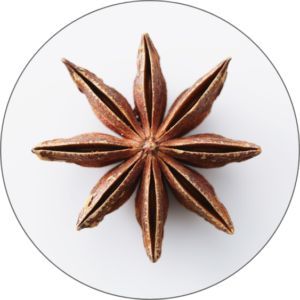 Star Anise