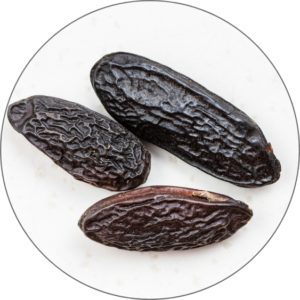Tonka Bean