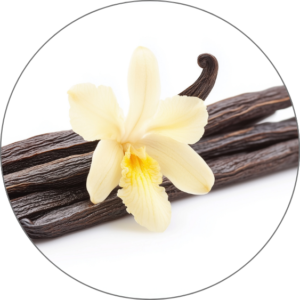 Vanilla